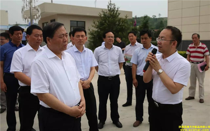 省委常委、省委統(tǒng)戰(zhàn)部部長、副省長姜鋒蒞臨森弗產(chǎn)業(yè)園調(diào)研大健康產(chǎn)業(yè)發(fā)展情況