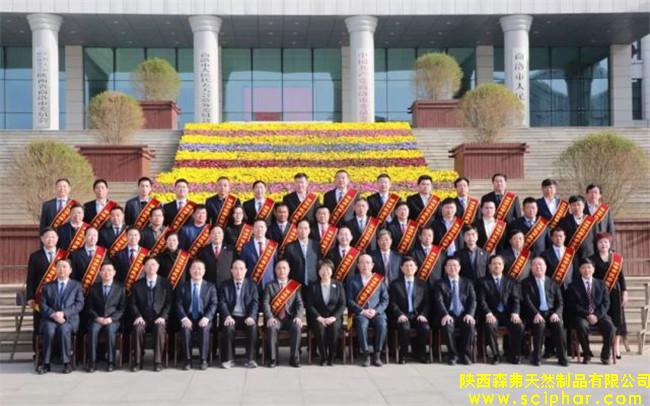 陜西森弗被評為“商洛市優(yōu)秀民營企業(yè)”，董事長金新康榮獲“商洛市優(yōu)秀民營企業(yè)家”稱號