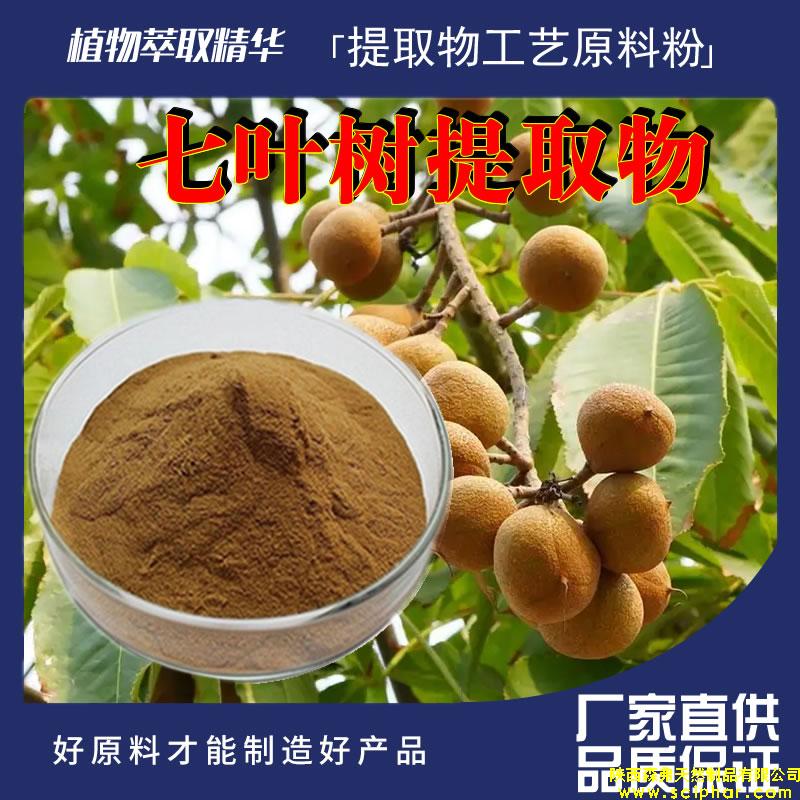 七葉樹提取物的成分、功效